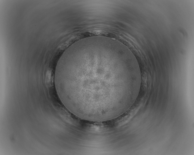 X0000112760420200908271623