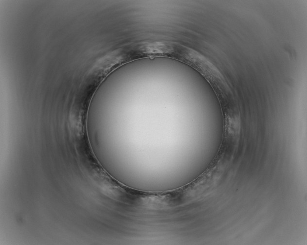 X0000112760422200908271623
