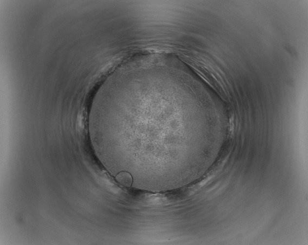 X0000112760424200908271623