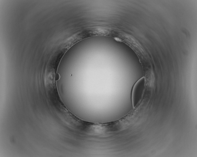 X0000112760425200908271623
