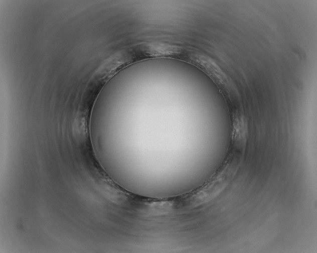 X0000112760426200908271623