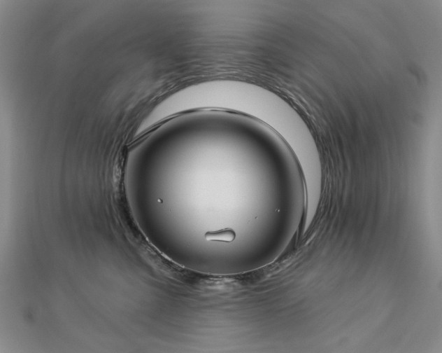 X0000112760427200908271623