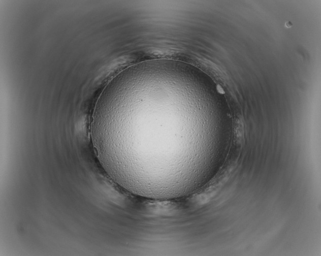 X0000112760428200908271623