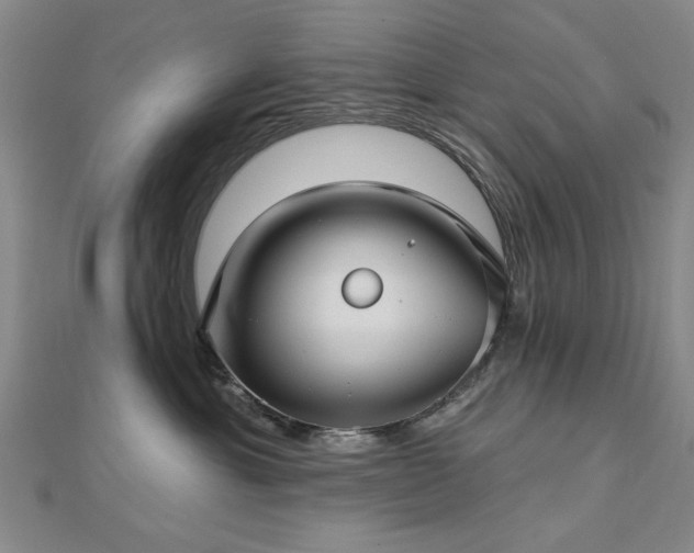 X0000112760429200908271623