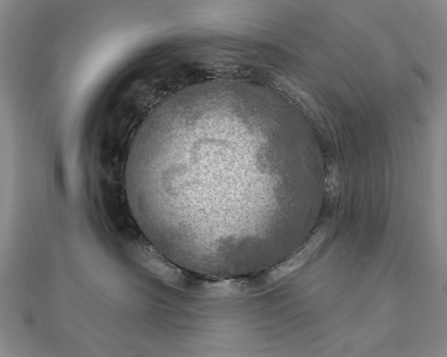 X0000112760430200908271623
