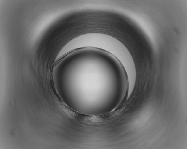 X0000112760431200908271623