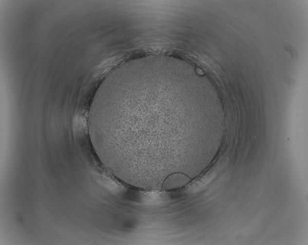 X0000112760432200908271623