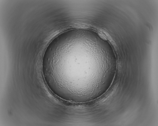 X0000112760433200908271622