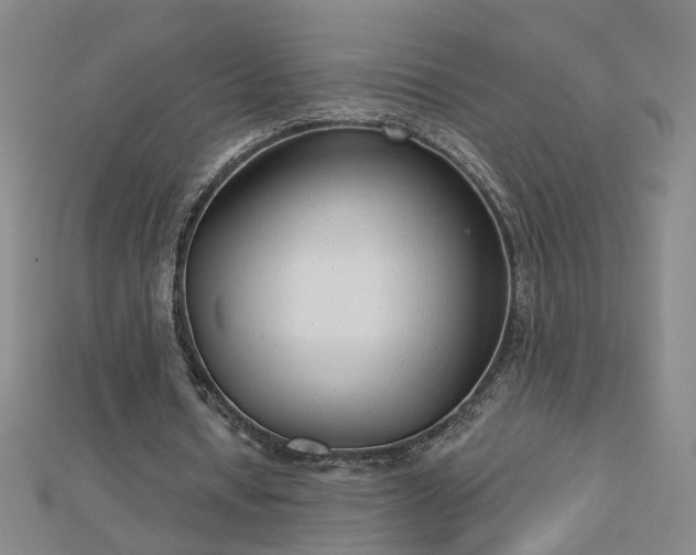 X0000112760434200908271622