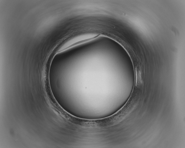 X0000112760435200908271622