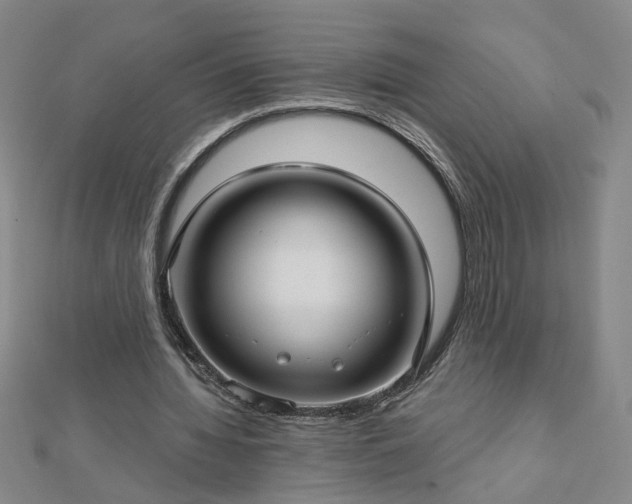 X0000112760436200908271622