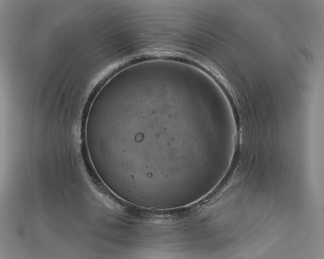 X0000112760438200908271622