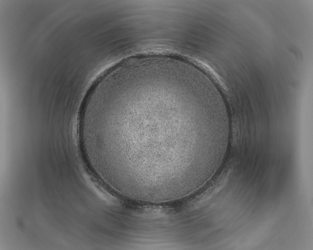X0000112760439200908271622