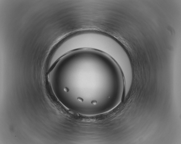 X0000112760440200908271622
