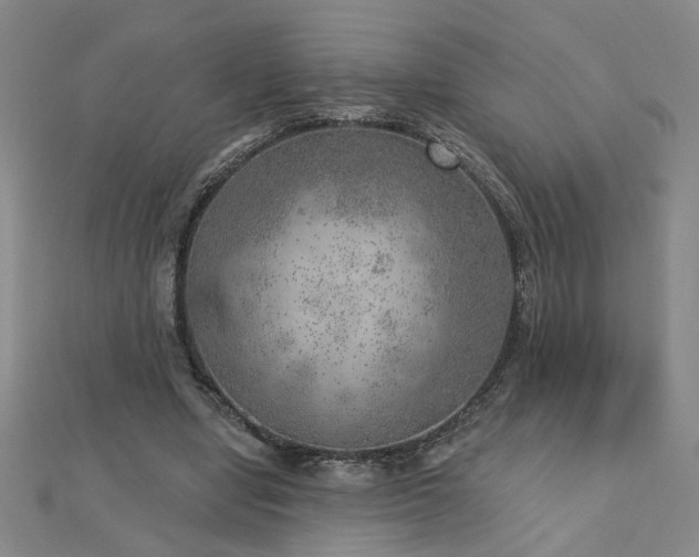 X0000112760442200908271622