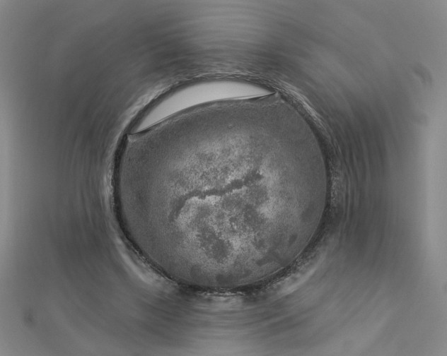 X0000112760443200908271622
