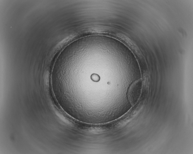 X0000112760445200908271622
