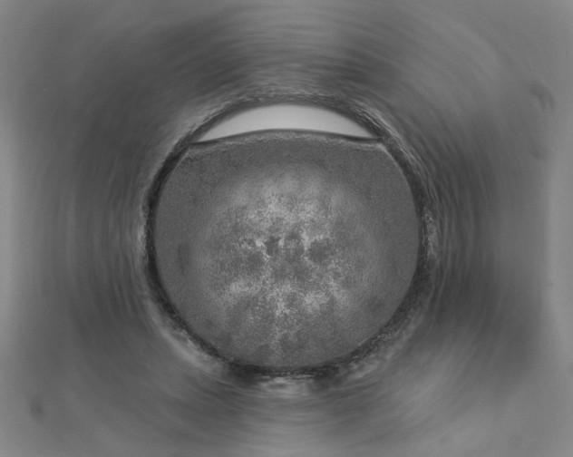 X0000112760447200908271622