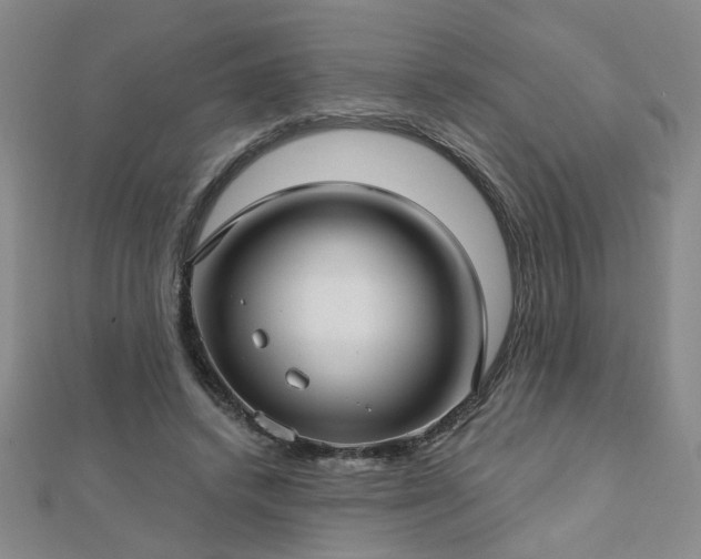 X0000112760448200908271623