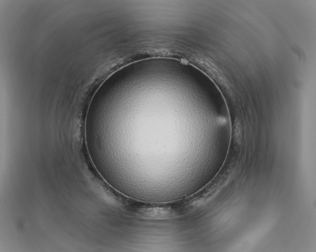X0000112760449200908271623