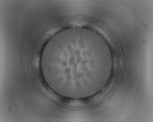 X0000112760451200908271623