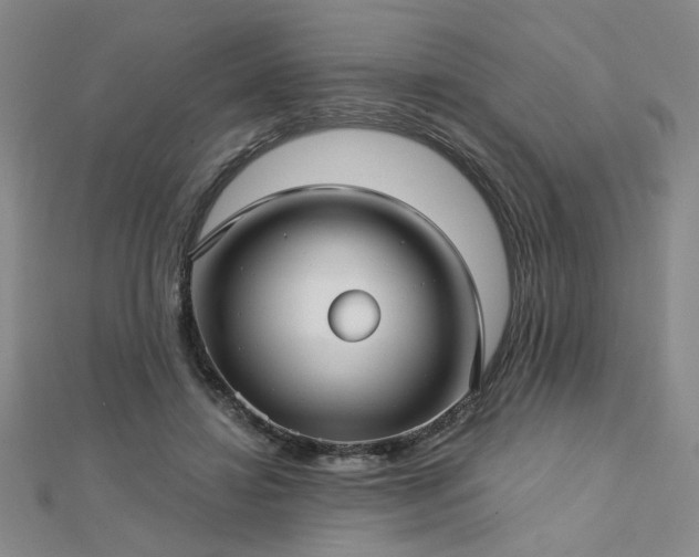 X0000112760452200908271623