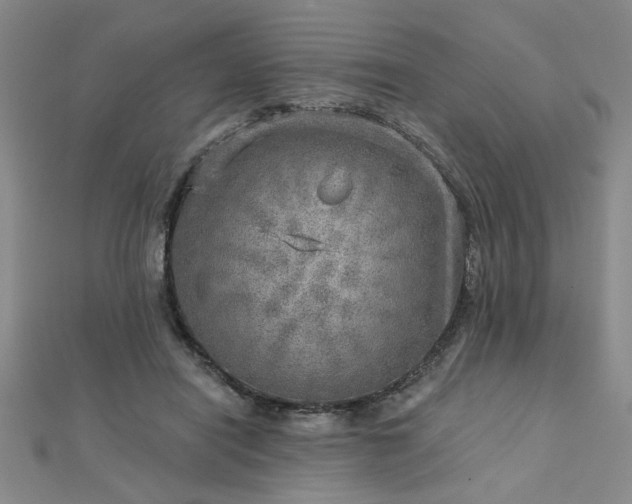 X0000112760454200908271623