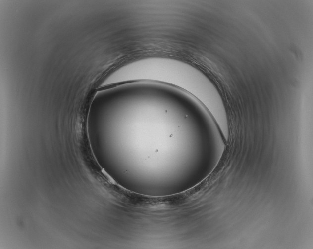 X0000112760456200908271623