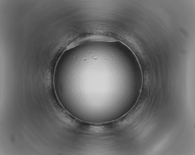 X0000112760457200908271623