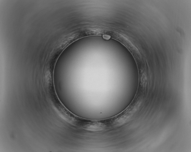 X0000112760459200908271623