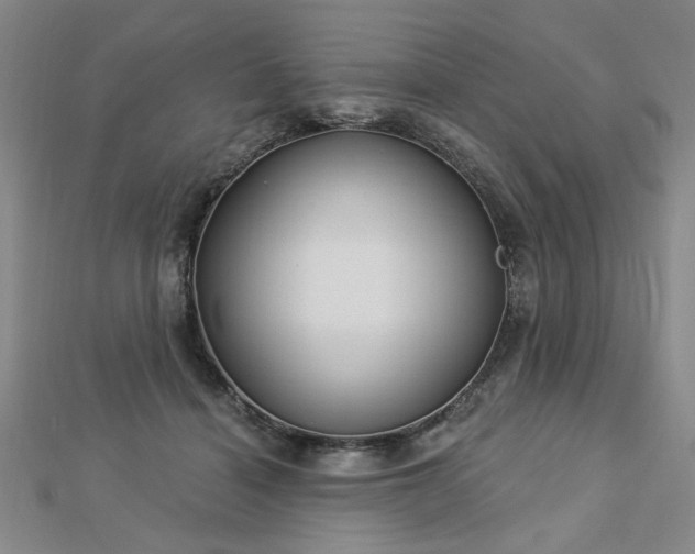 X0000112760460200908271623