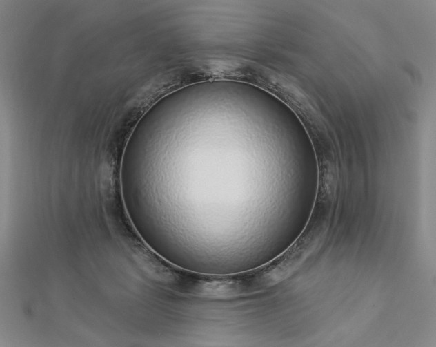 X0000112760461200908271623