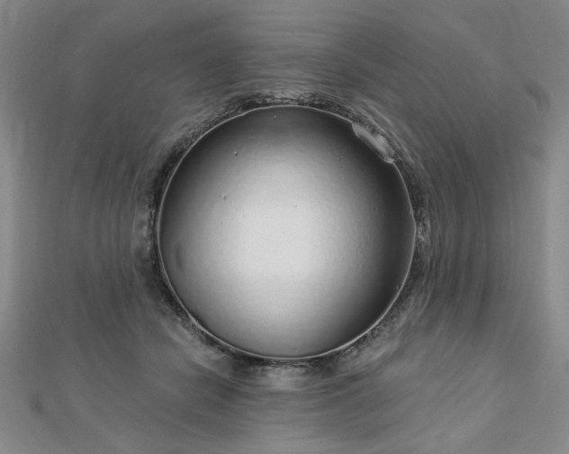 X0000112760462200908271623