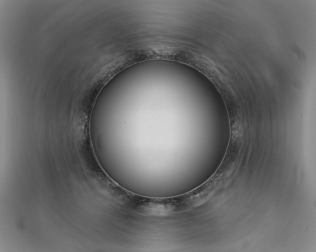 X0000112760464200908271623