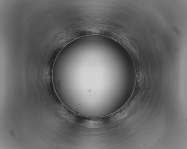 X0000112760466200908271623