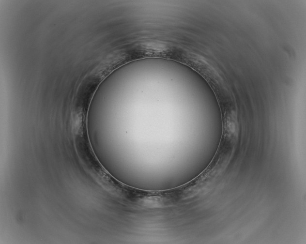 X0000112760468200908271623