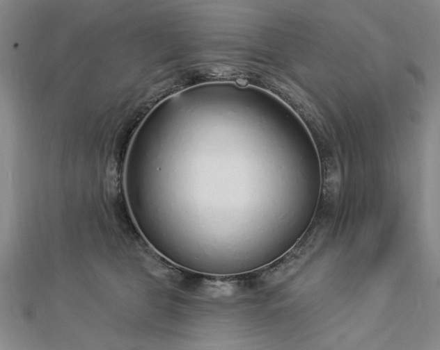 X0000112760469200908271623