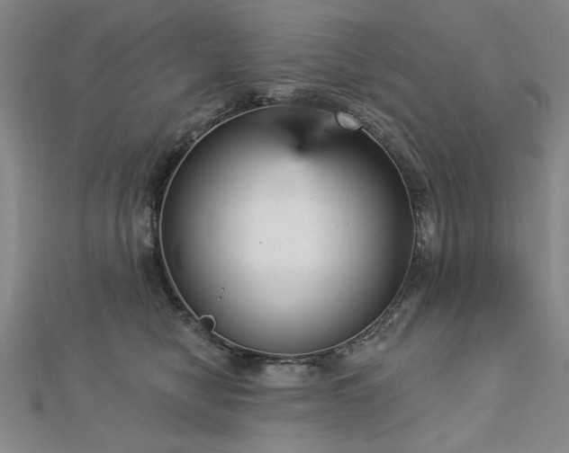 X0000112760470200908271623