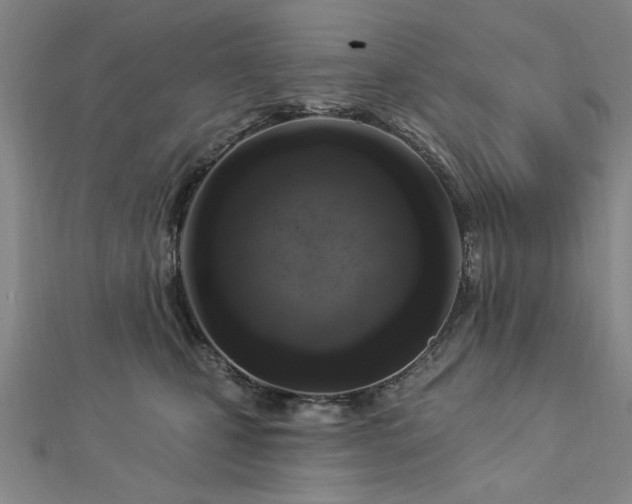 X0000112760471200908271623