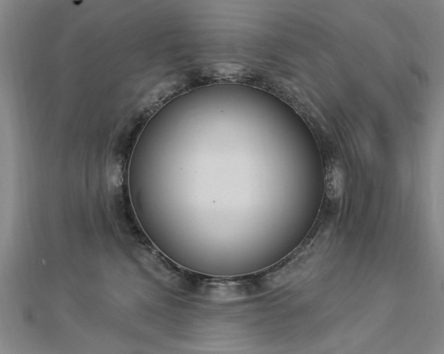 X0000112760472200908271623