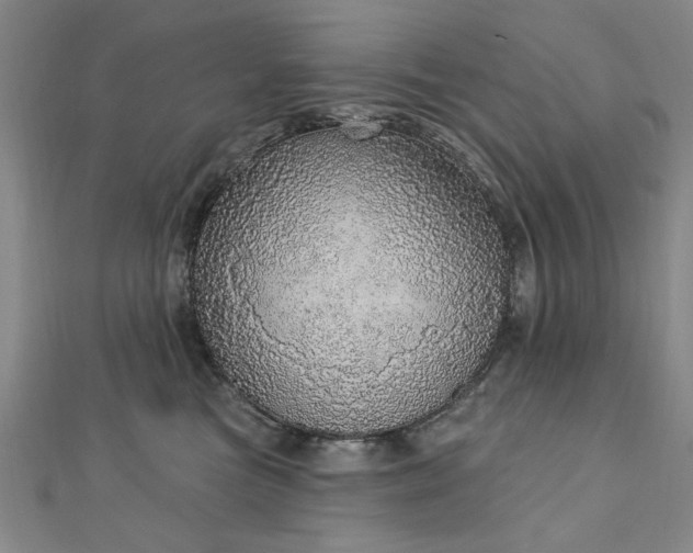 X0000112760473200908271623