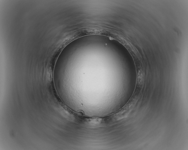 X0000112760474200908271623
