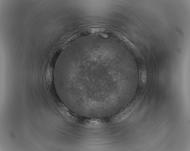 X0000112760475200908271623