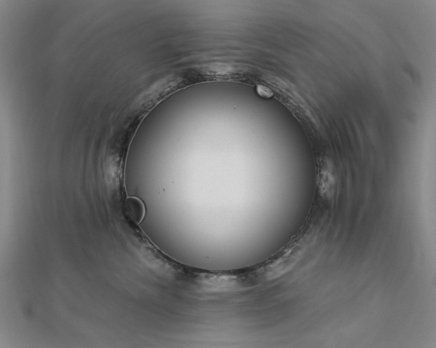 X0000112760476200908271623