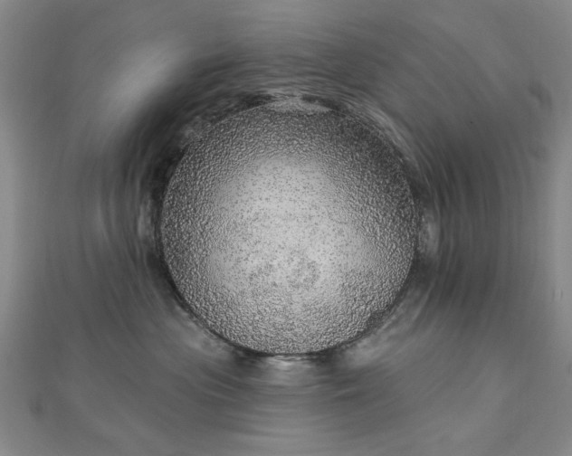 X0000112760477200908271623