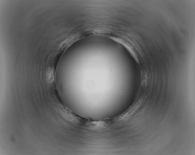X0000112760478200908271623