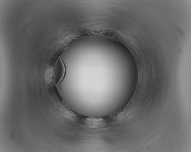 X0000112760480200908271623