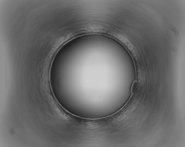 X0000112760481200908271622