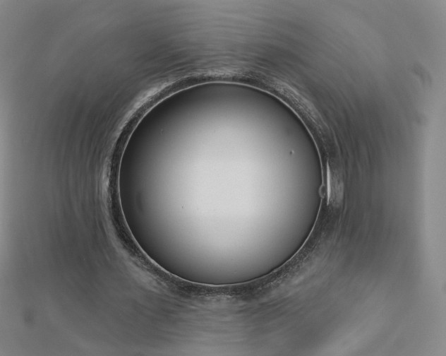 X0000112760483200908271622