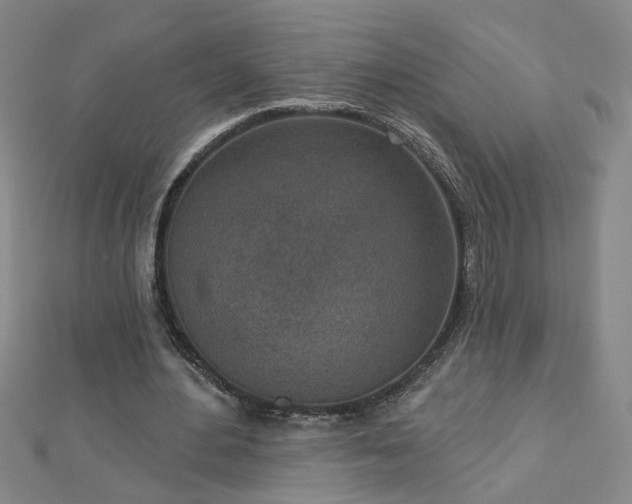 X0000112760484200908271622